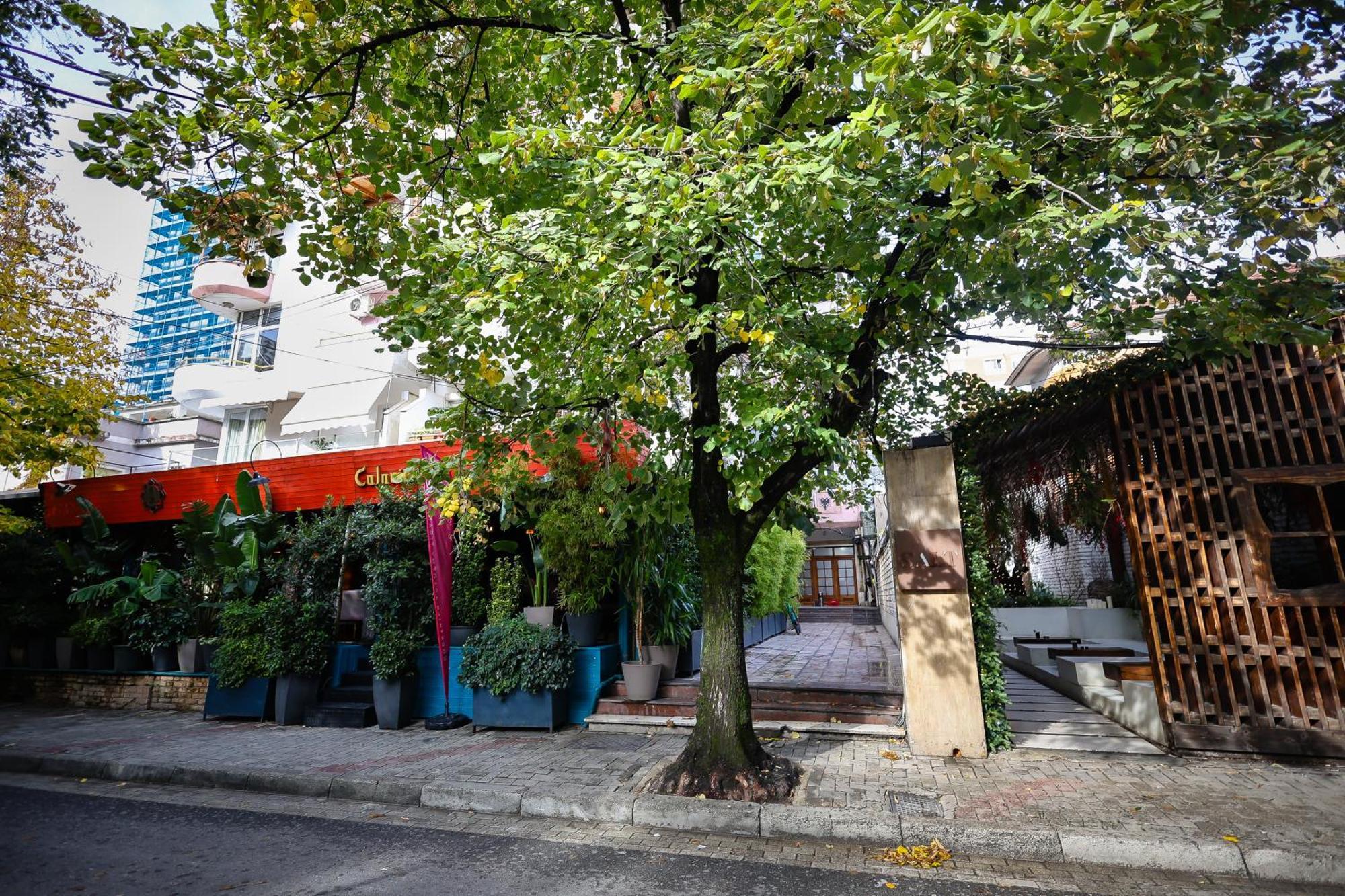 Noela'S Place 地拉那 外观 照片